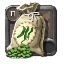 Bean Seeds