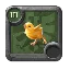 Baby Chickens