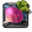 Turnips