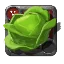 Cabbage